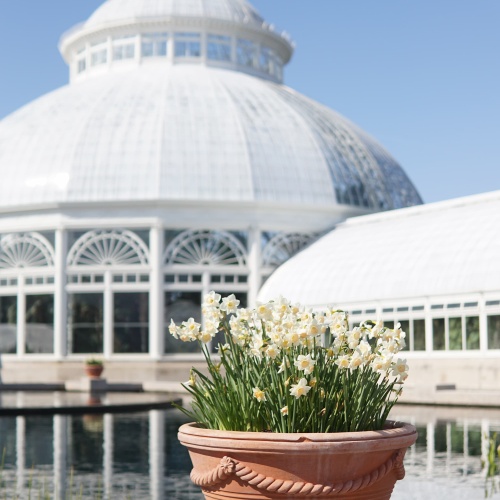 Le Botanical Garden du Bronx