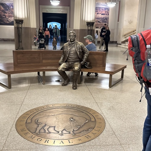 Theodore Roosevelt Memorial Hall - Mus&eacute;e d'Histoire Naturelle de New York