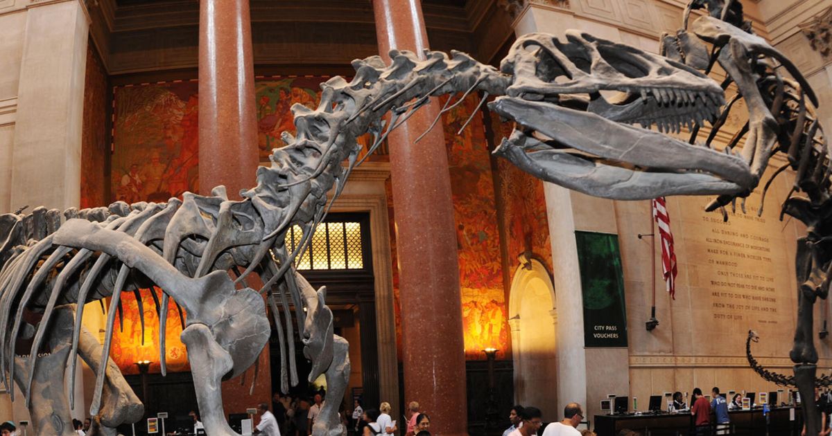 Visiter le musée d'Histoire naturelle New York - Le Guide New York