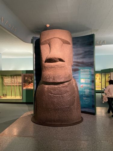 Statie Moai - Musée d'Histoire Naturelle de New York