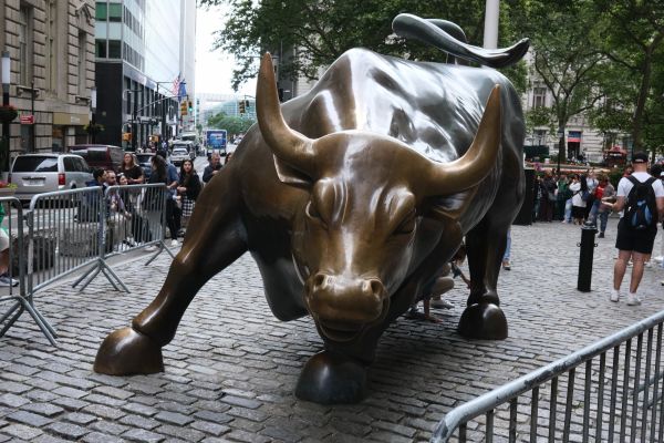 Charging Bull