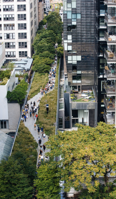 La High Line se faufilant entre les immeubles. New York