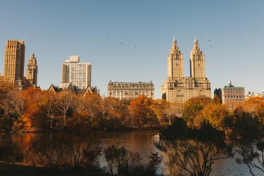 Paysage d'automne à Central Park.&nbsp;