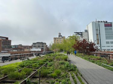 Anciens rails de la High Line