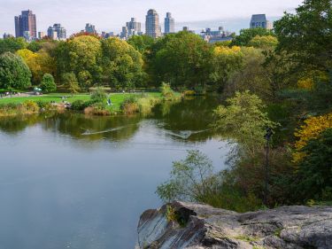 Turtle Pond, Central Park - New York.