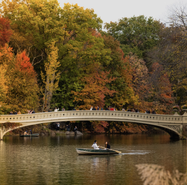 Balade en barque sur The Lake. Central Park, New York