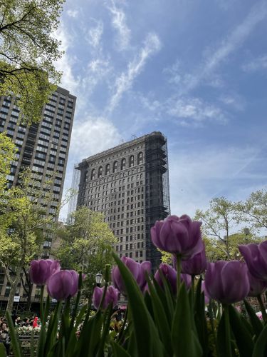 Vue sur le Flat Iron Building depuis Madison Square Park