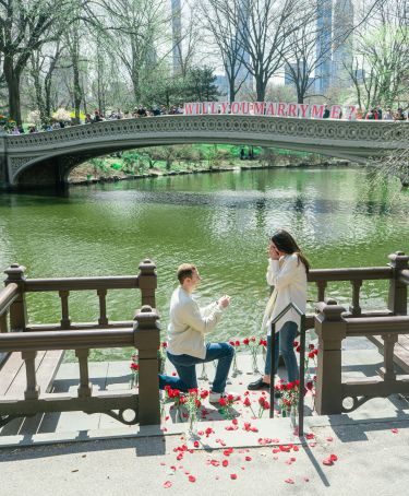Demande en mariage - Bow Bridge à Central Park.