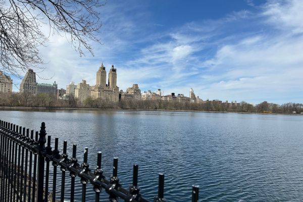 Earth Day &agrave; New York